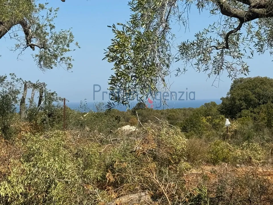 Helårsgrund i Carovigno, Brindisi - foto 2